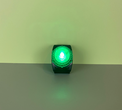 Guardian Light w/Belt Clip